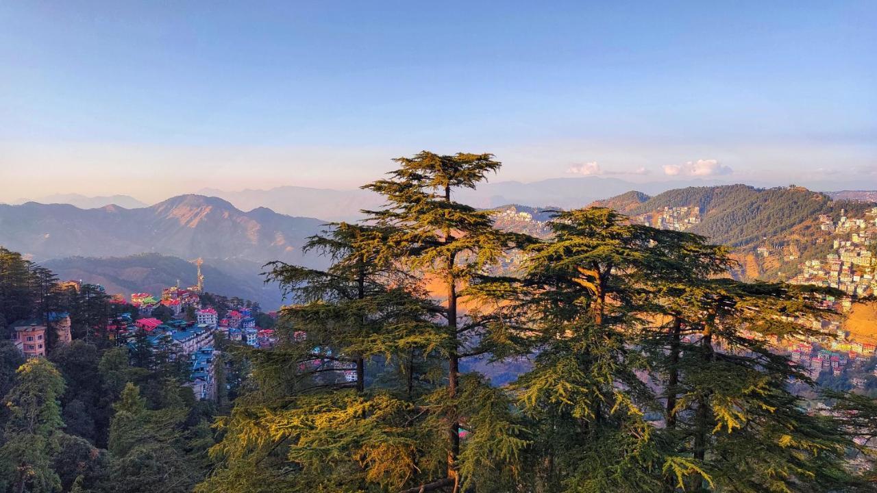 Hotel Taj Palace Near Mall Road Shimla Eksteriør bilde